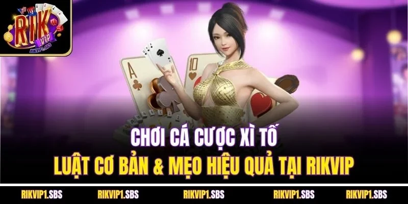 Chơi Cá Cược Xì Tố | Luật Cơ Bản & Mẹo Hiệu Quả Tại Rikvip