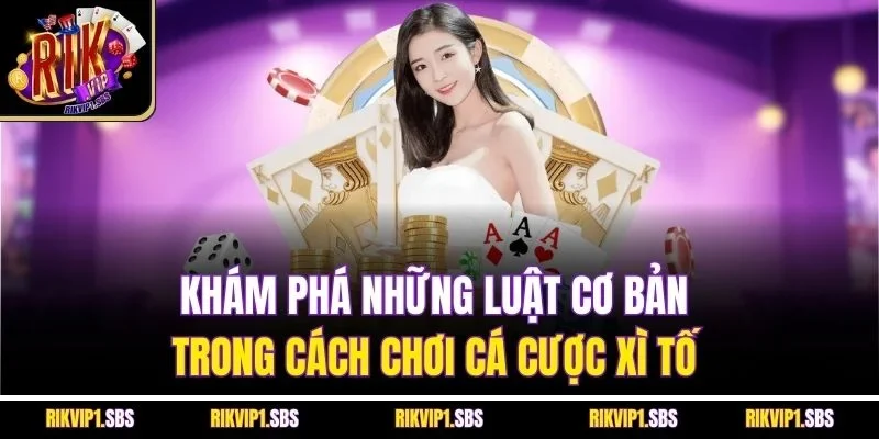 Khám phá những luật cơ bản trong cách chơi cá cược xì tố